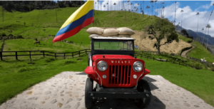 Willis en el valle del cócora